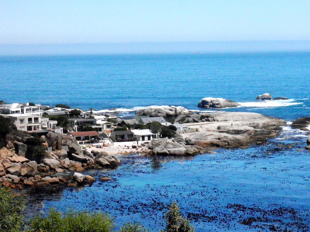 فندق 51 On Camps Bay كيب تاون المظهر الخارجي الصورة
